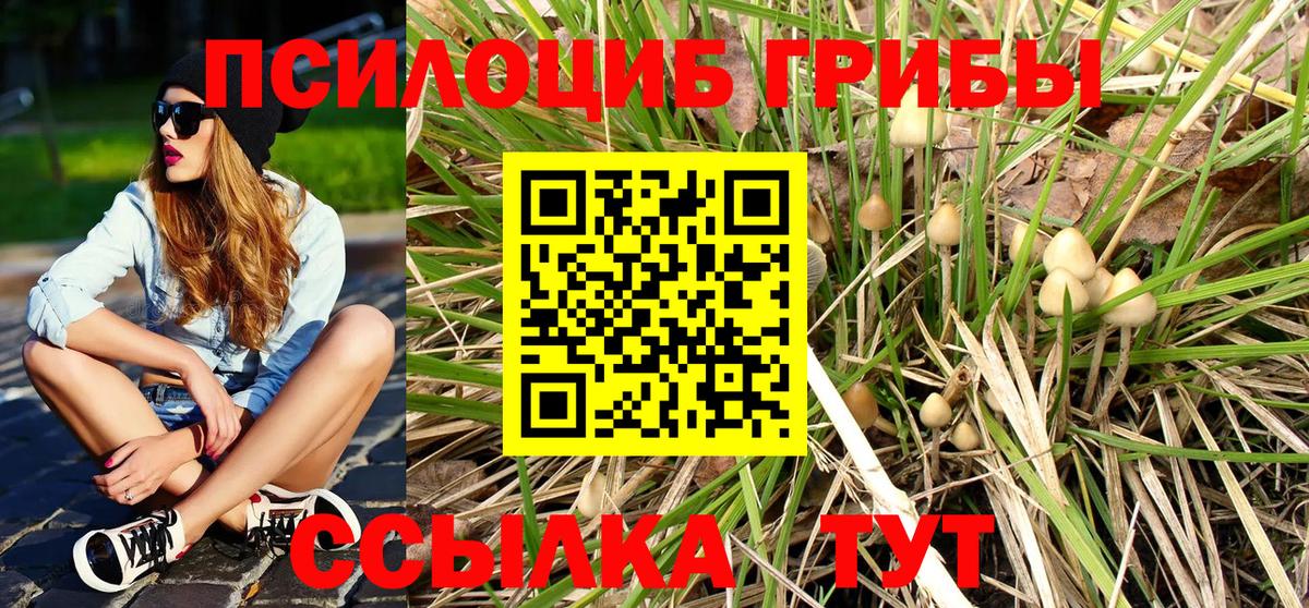 Экстази  Саранск  Вход с VPN  NBOMe  Мефедрон кристаллы  МДМА  Бошки Шишки  A-PVP СК кристаллы 