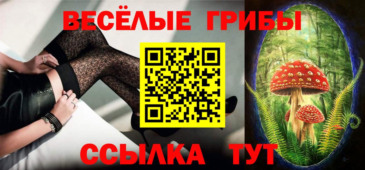 Галлюциногенные грибы прущие грибы Саранск