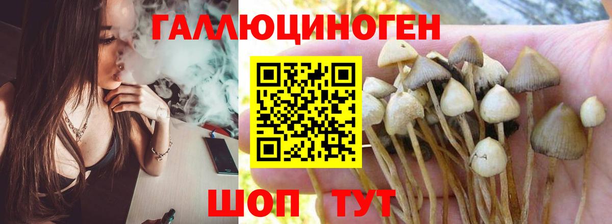 Саранск  Галлюциногенные грибы Psilocybe  Галлюциногенные грибы Psilocybe  Вход с VPN 